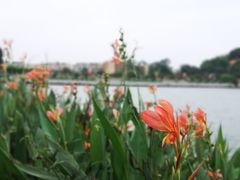 -南国桃园旅游度假区