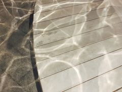 -张之洞与武汉博物馆