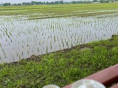 -嘉北郊野公园