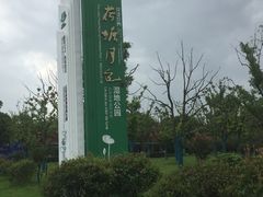 -荷塘月色湿地公园·向阳花洲