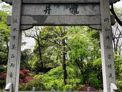 -龙井村