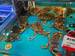 水产区-必点海鲜·鲅鱼水饺(鞍山西道店)