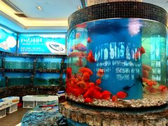 -水中仙东雅国际酒店(丹阳店)