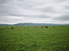 -新疆那拉提国家旅游度假区
