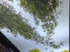 -江南韵·无锡太湖文化体验餐厅(凤凰天街店)