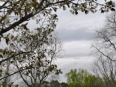 -昆山城市生态森林公园