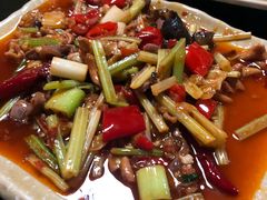 -青城甲(青城山店)