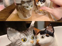 -猫猫幼稚园·撸猫·桌游·电玩