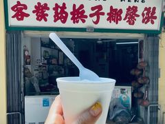 -洪馨椰子