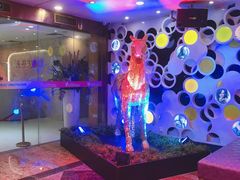 -音乐在线主题氧吧KTV(佳宁娜广场店)