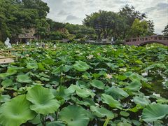 -广州莲花山旅游区