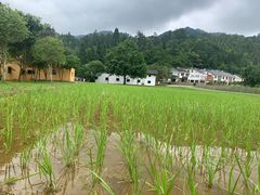 -井冈山风景名胜区