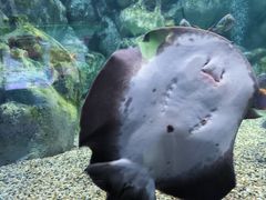 -正佳极地海洋世界