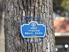-上海财经大学(国定路校区)