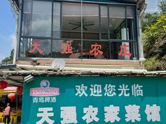 -天强农家菜馆