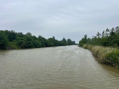 -盐城丹顶鹤湿地生态旅游区