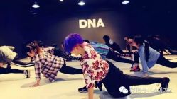 -DNA舞室