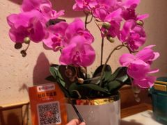 -小吊梨汤·北京菜·烤鸭(王府井银泰in88店)