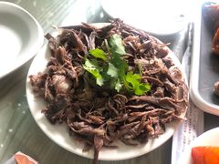 狗肉-春花民族美食(佳木斯总店)