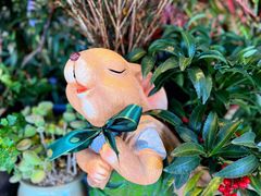 -萤火虫咖啡(后海店)