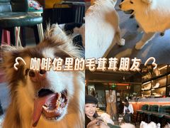 -悠乐汇