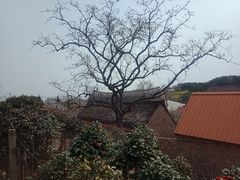 -石岛赤山风景区