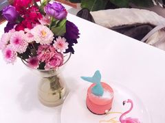 美人鱼芝士-随心小姐