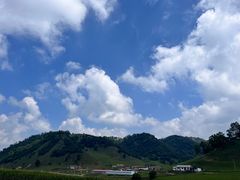 -关山草原