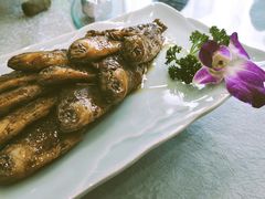 酱汁烧金鱼-普天和酒楼·新津菜·烤鸭(天津之眼店)