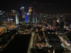 -新加坡瑞士史丹福酒店