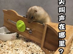 -狗道宠物(常熟印象城店)