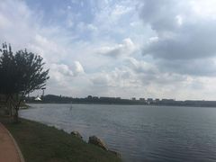 -丁香湖公园