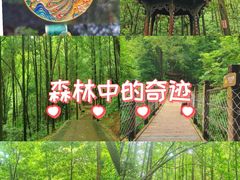-凤栖山