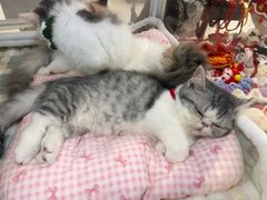 -万达广场(大明宫店)