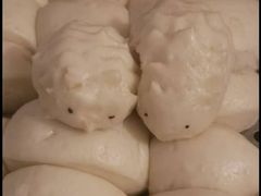 -大班家政月嫂育儿嫂(广州NO.1店)