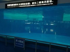-泉城欧乐堡海洋极地世界