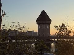 -九龙湖公园