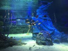 -沈阳海洋探索中心