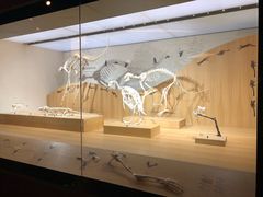 -自然博物馆(地铁站)