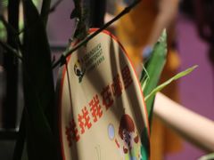 -正佳雨林生态植物园