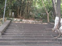 -攀枝花公园