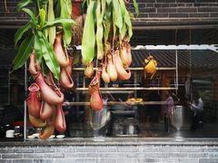 -顺德了能馆(虎门店)