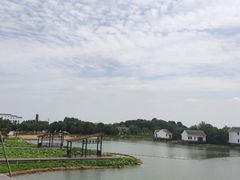 -金卉庄园