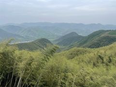 -莫干山风景区