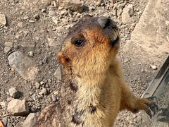 -水上乐园·欢乐世界