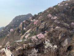-北京凤凰岭