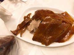-金蝉食府(维吉奥广场店)