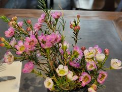 -Apollo·西班牙小酒馆(安福路店)