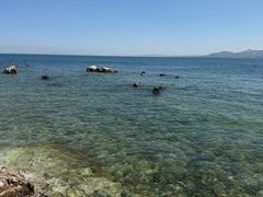 -养马岛旅游度假区