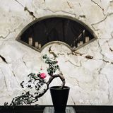 福州酒店中餐厅的天花板？